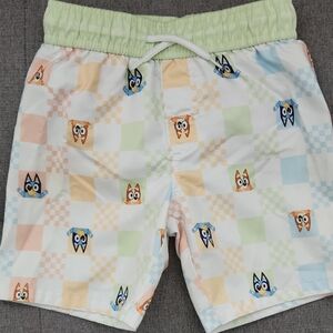 5t, BLUEY Swim Trunks, Swim Shorts